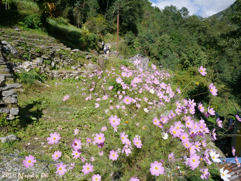 P1390120.JPG P1390120.JPG