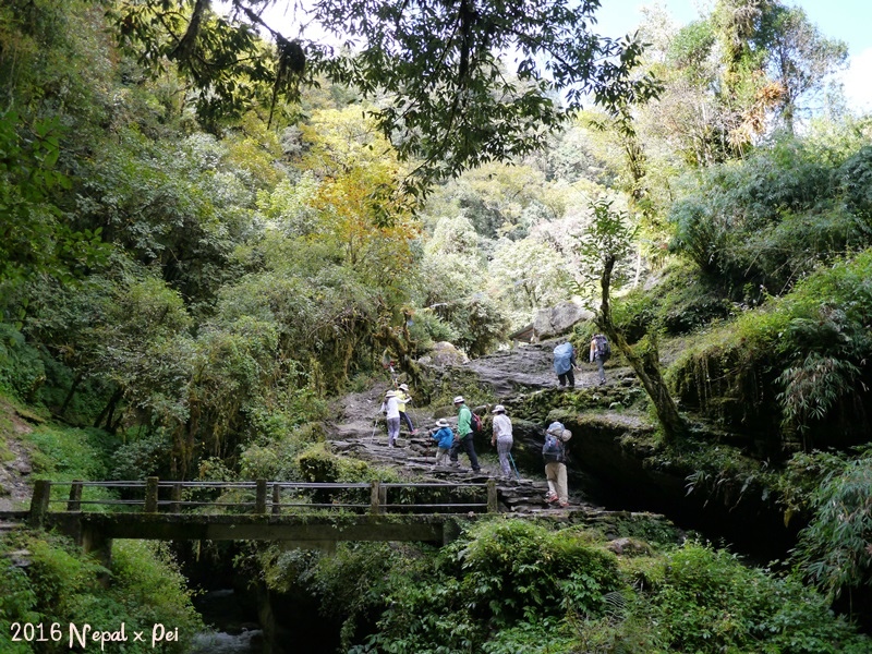 P1390133.JPG P1390133.JPG