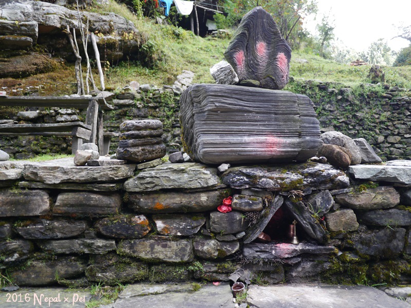 P1390143.JPG P1390143.JPG