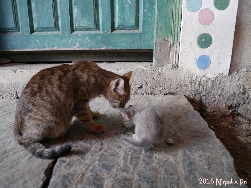 P1390155.JPG P1390155.JPG