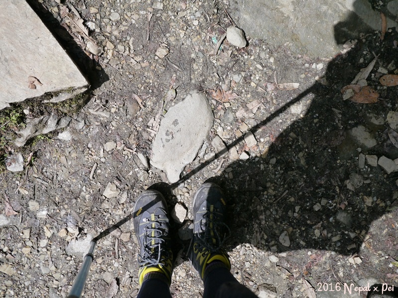 P1390159.JPG P1390159.JPG