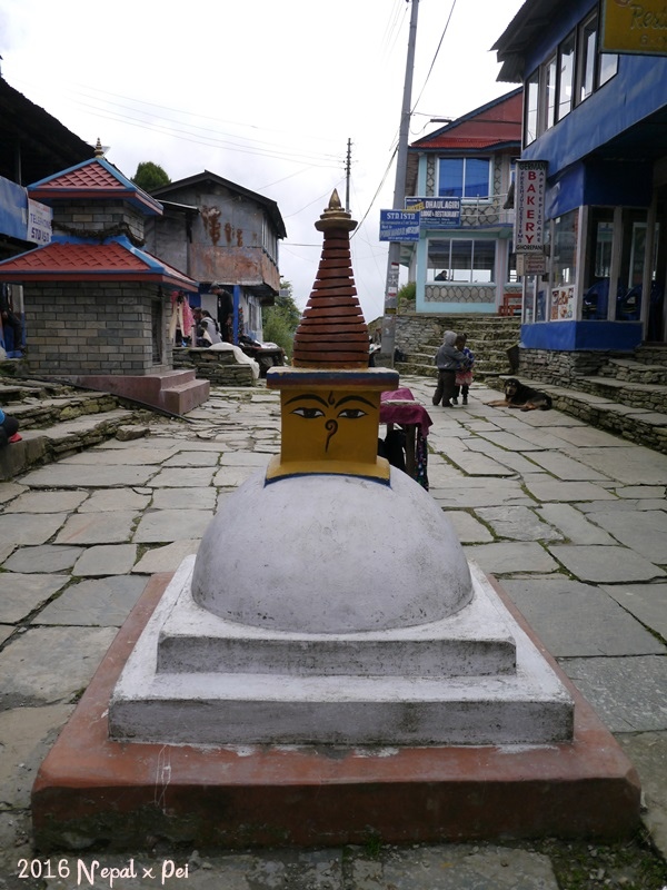 P1390170.JPG P1390170.JPG