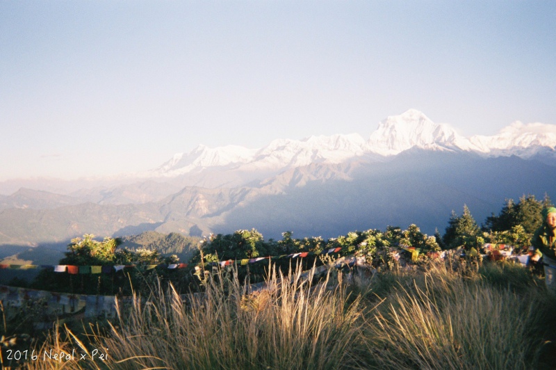 S__85827589.jpg S__85827589.jpg