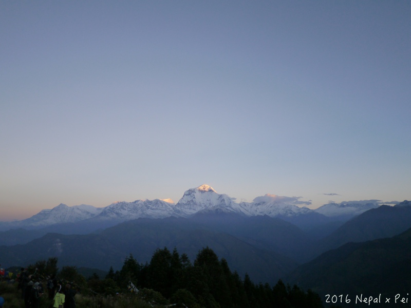 P1390218.jpg P1390218.jpg