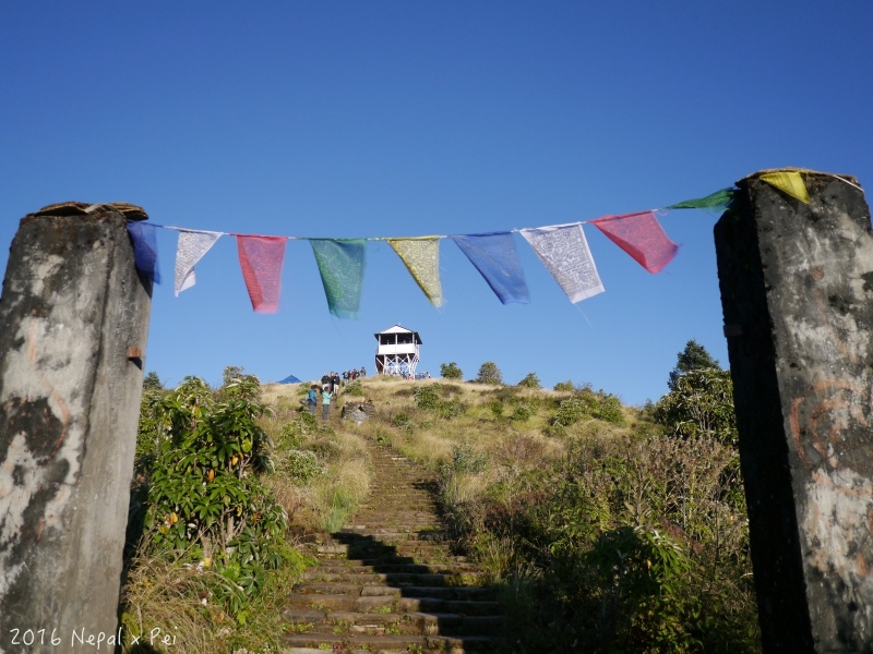 P1390330.jpg P1390330.jpg