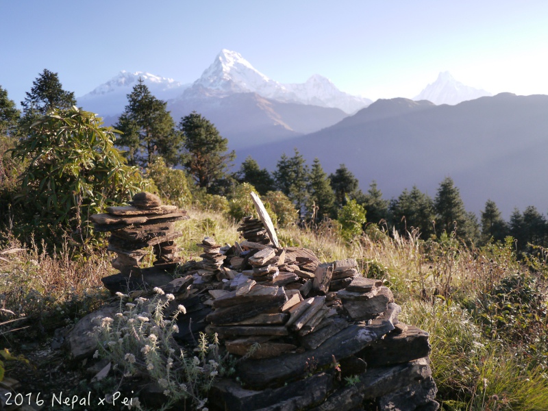 P1390321.jpg P1390321.jpg