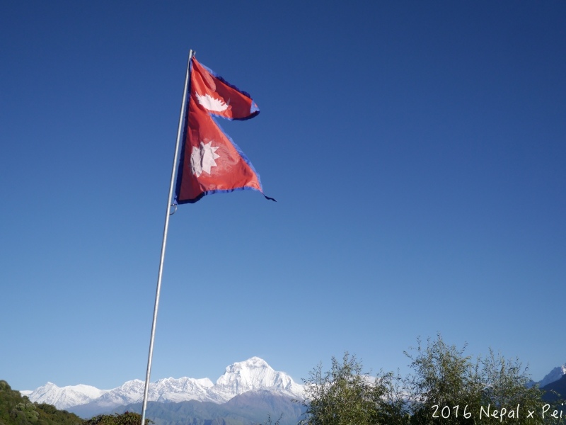 P1390356.jpg P1390356.jpg