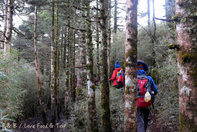 DSC_9136.jpg DSC_9136.jpg