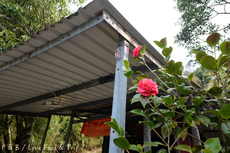 DSCF2509.jpg DSCF2509.jpg