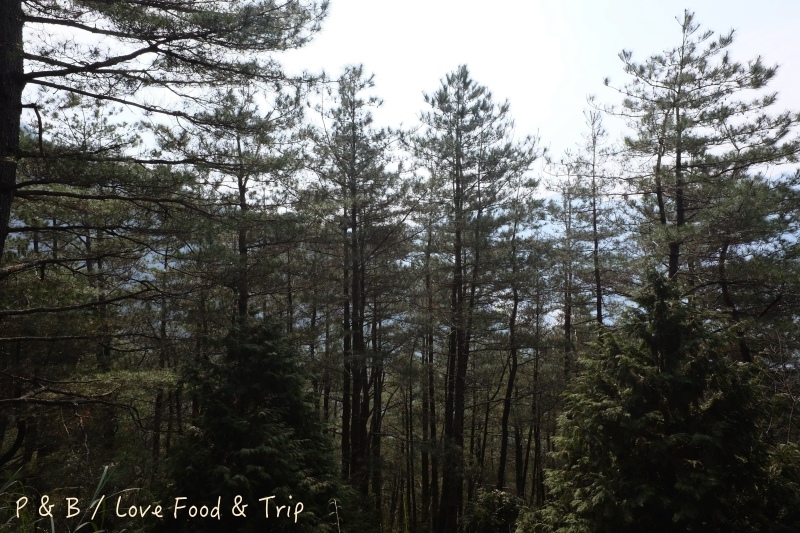 DSCF2551.jpg DSCF2551.jpg