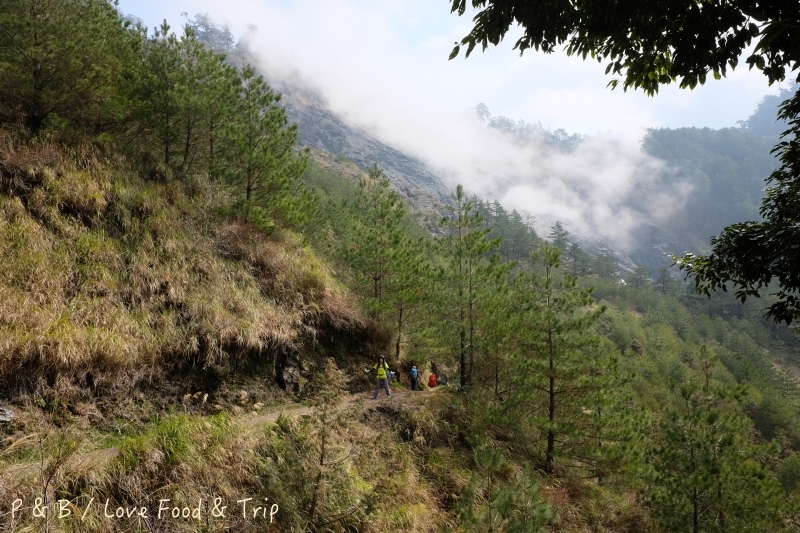 DSCF2562.jpg DSCF2562.jpg