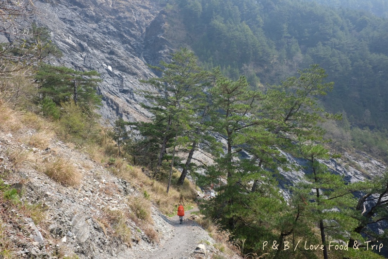 DSCF2576.jpg DSCF2576.jpg