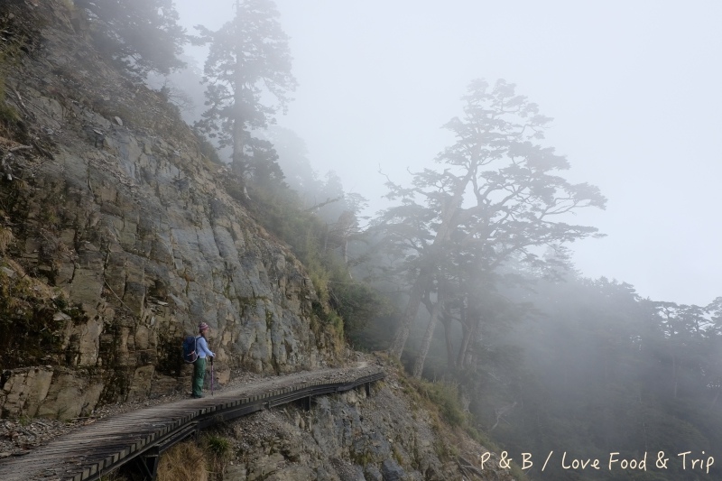 DSCF2655.jpg DSCF2655.jpg