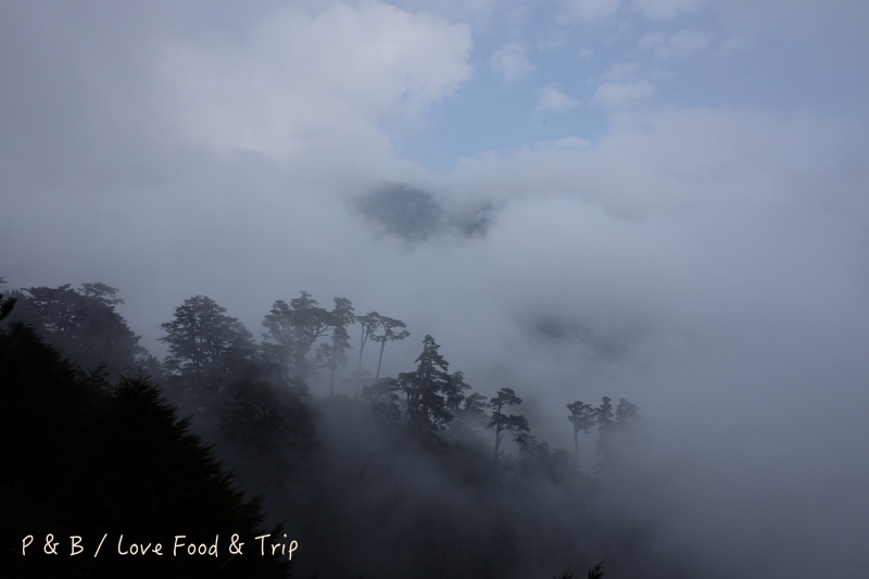 DSCF2663.jpg DSCF2663.jpg