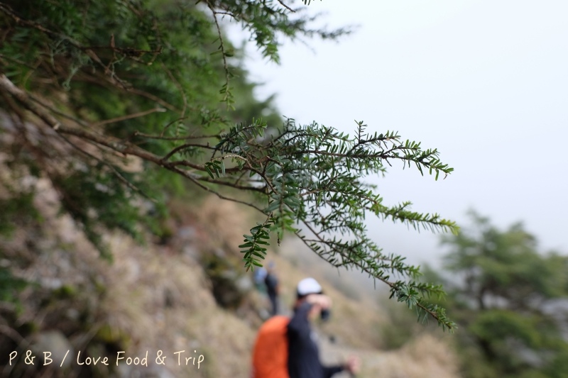 DSCF2676.jpg DSCF2676.jpg