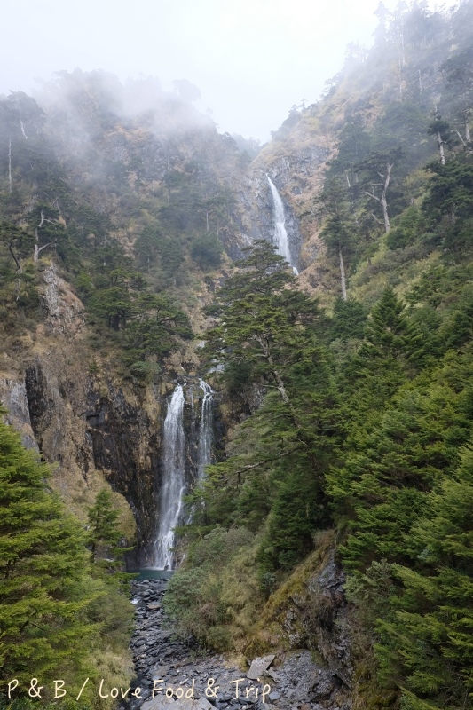 DSCF2687.jpg DSCF2687.jpg