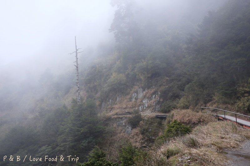 DSCF2727.jpg DSCF2727.jpg