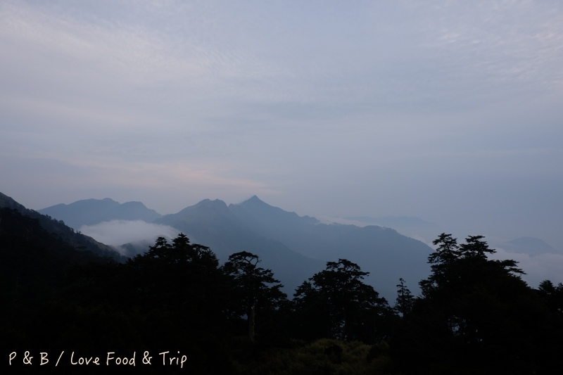 DSCF2742.jpg DSCF2742.jpg