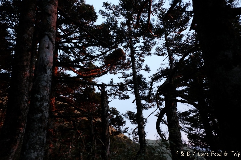 DSCF2774.jpg DSCF2774.jpg