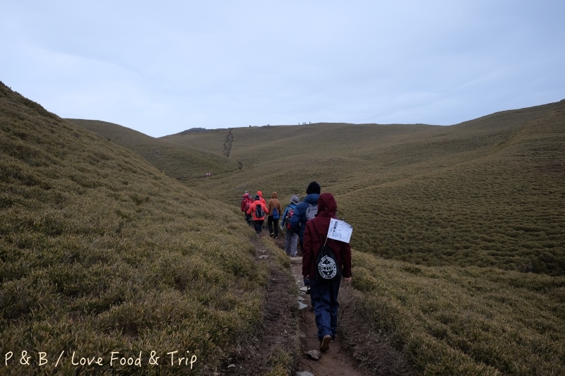 DSCF2786.jpg DSCF2786.jpg