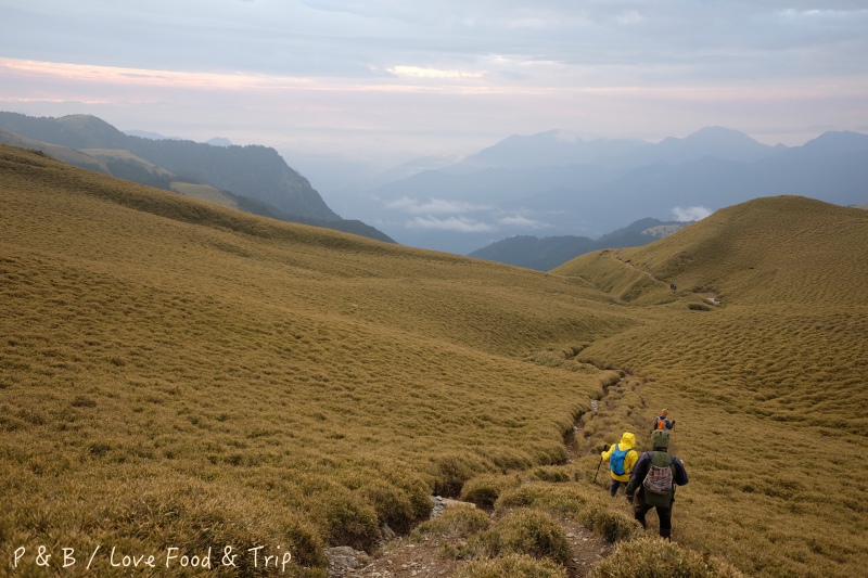 DSCF2790.jpg DSCF2790.jpg