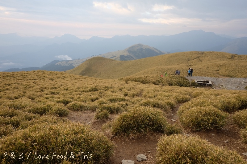 DSCF2791.jpg DSCF2791.jpg