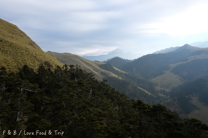 DSCF2817.jpg DSCF2817.jpg