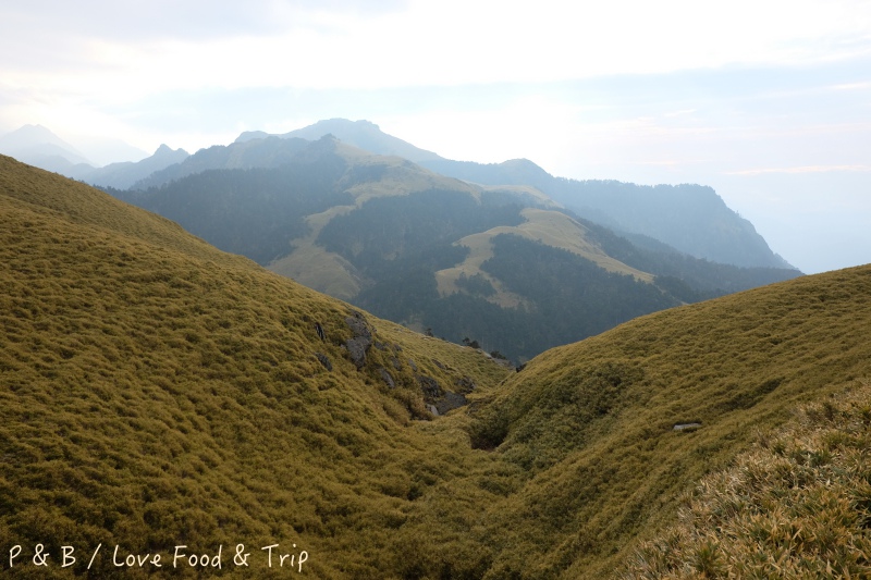 DSCF2810.jpg DSCF2810.jpg