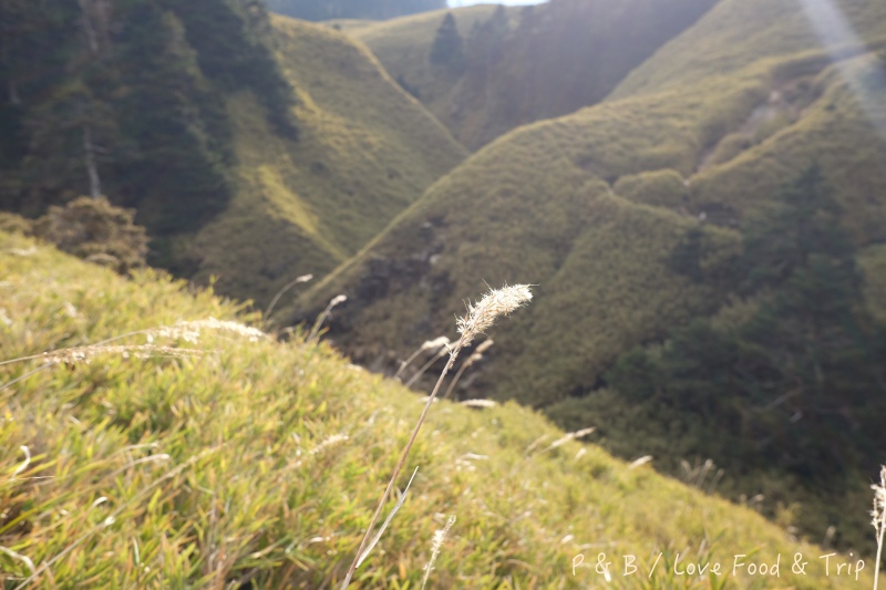 DSCF2828.jpg DSCF2828.jpg