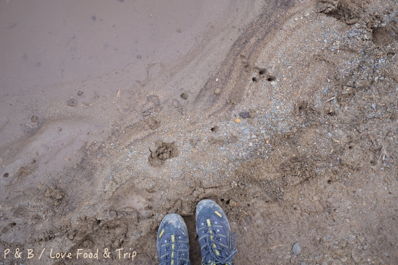 DSCF2788.jpg DSCF2788.jpg