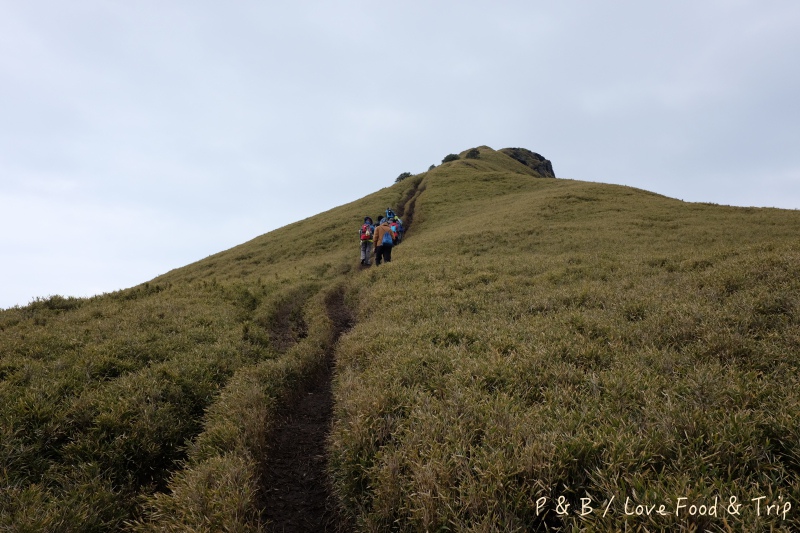 DSCF2843.jpg DSCF2843.jpg