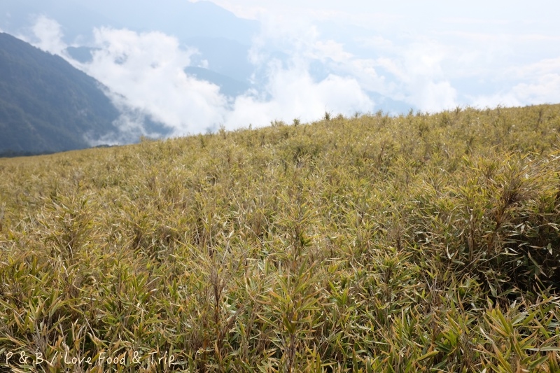 DSCF2851.jpg DSCF2851.jpg