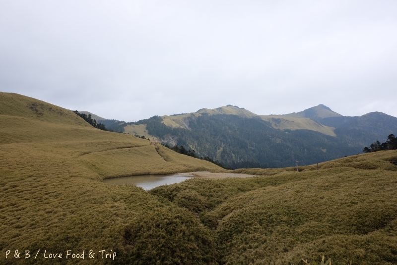 DSCF2861.jpg DSCF2861.jpg