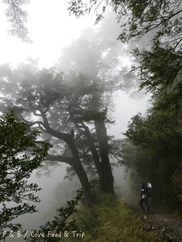 P1020123.jpg P1020123.jpg