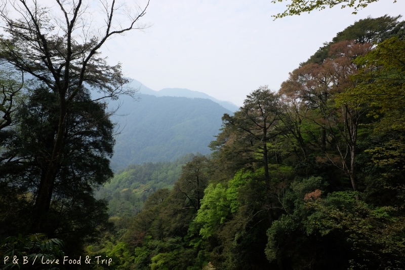 DSCF2981.jpg DSCF2981.jpg