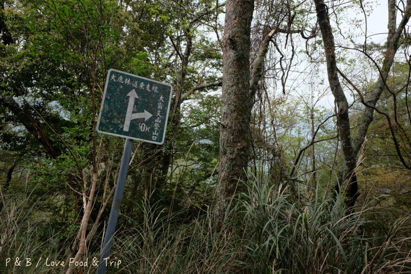 DSCF2982.jpg DSCF2982.jpg