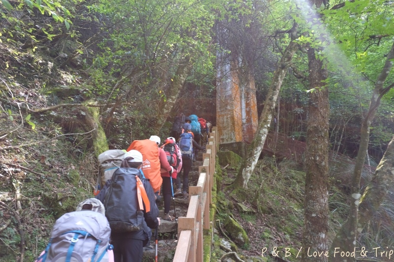 DSCF3004.jpg DSCF3004.jpg