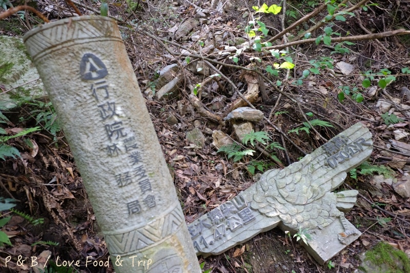 DSCF3005.jpg DSCF3005.jpg