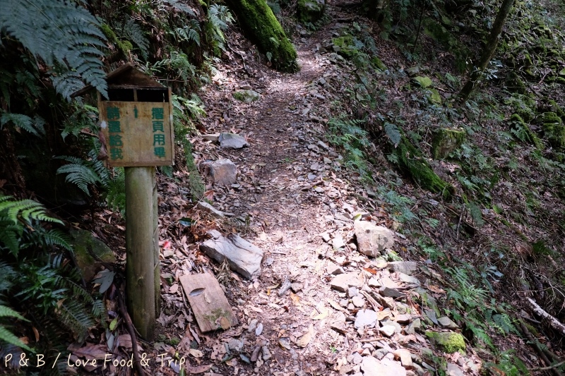 DSCF3009.jpg DSCF3009.jpg