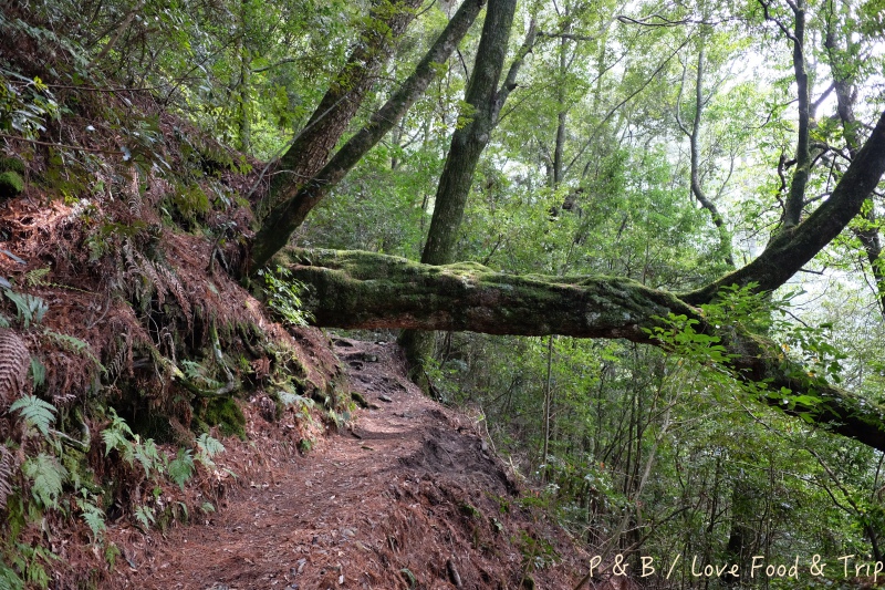 DSCF3015.jpg DSCF3015.jpg