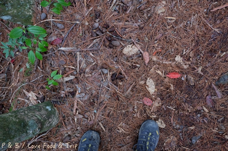 DSCF3011.jpg DSCF3011.jpg