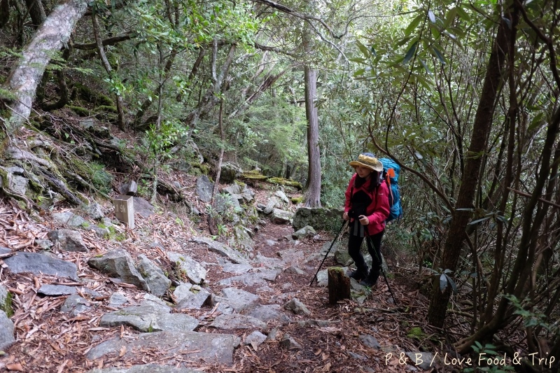 DSCF3018.jpg DSCF3018.jpg