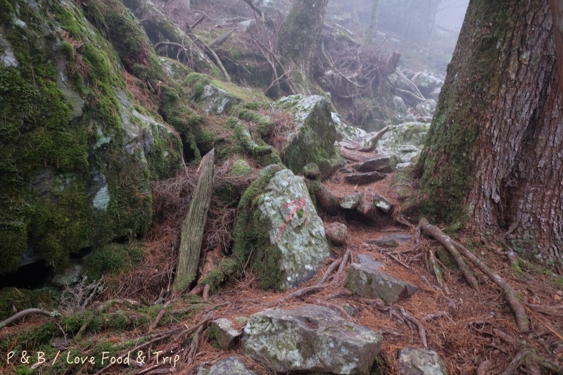 DSCF3036.jpg DSCF3036.jpg