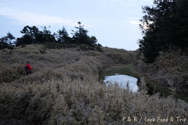 DSCF3072.jpg DSCF3072.jpg