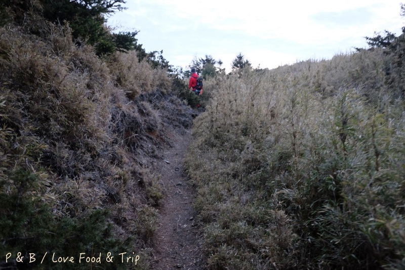 DSCF3071.jpg DSCF3071.jpg