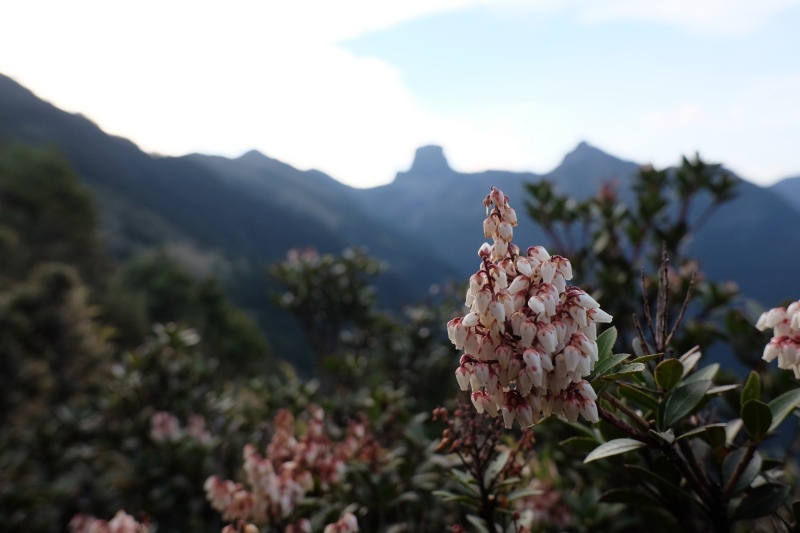 DSCF3089.jpg DSCF3089.jpg