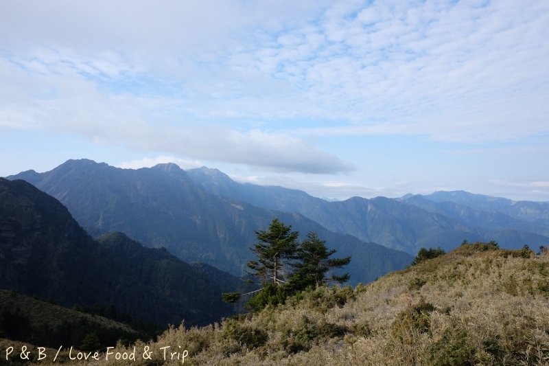 DSCF3101.jpg DSCF3101.jpg