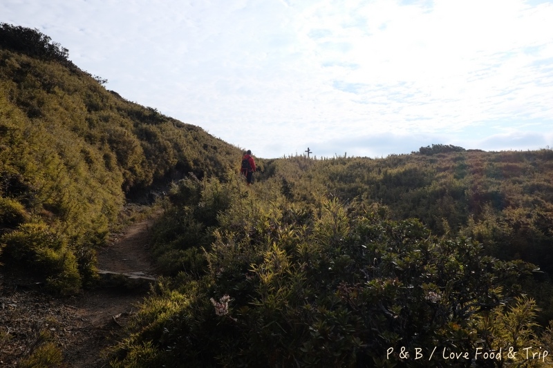 DSCF3096.jpg DSCF3096.jpg