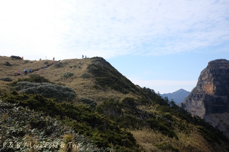 DSCF3114.jpg DSCF3114.jpg