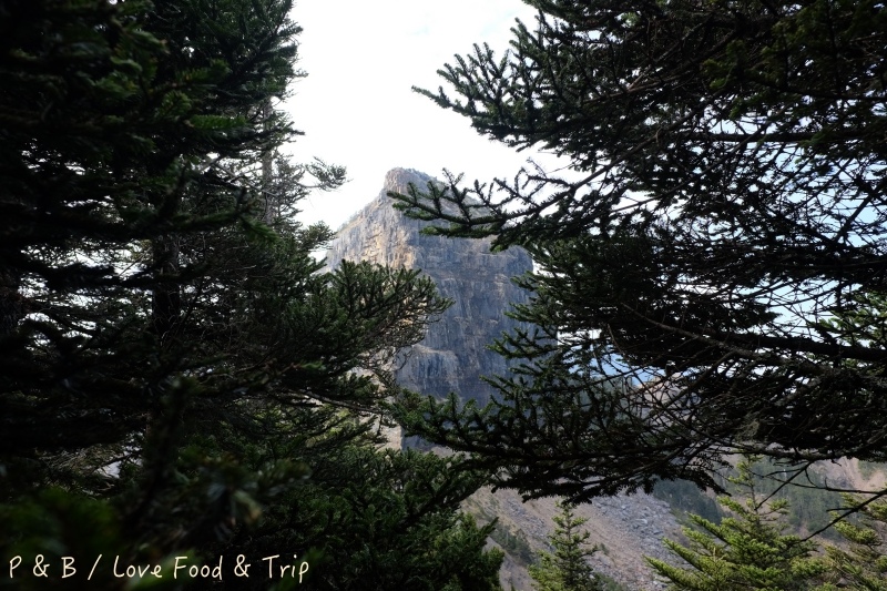 DSCF3129.jpg DSCF3129.jpg